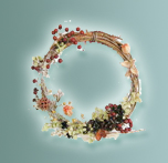 �t�����[�A�����W�����g